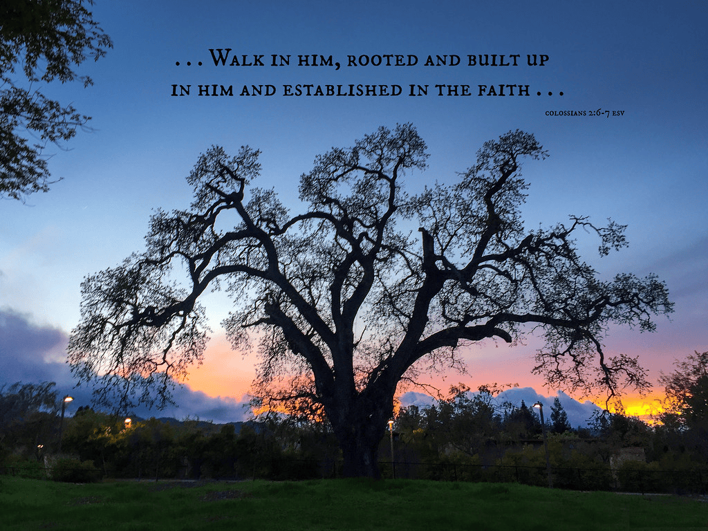 Scripture Image